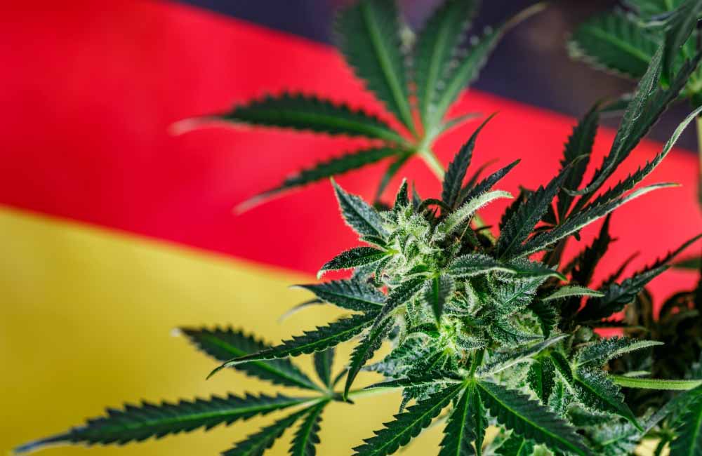 germany legal cannabis