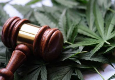 What Is the Difference Between Legal and Decriminalized Cannabis?