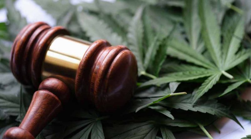 legal and decriminalized cannabis