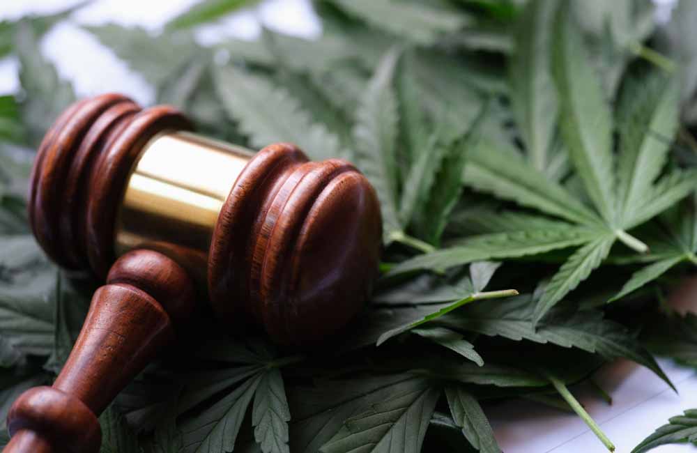 legal and decriminalized cannabis