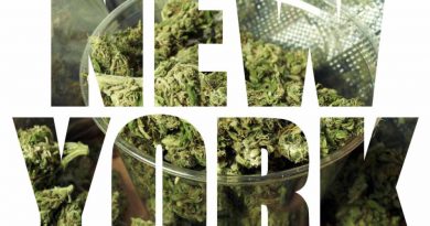 new york illegal cannabis