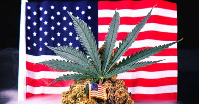 veterans cannabis