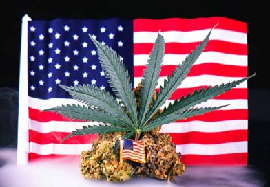 Veterans Call for Biden Administration to Reschedule Cannabis