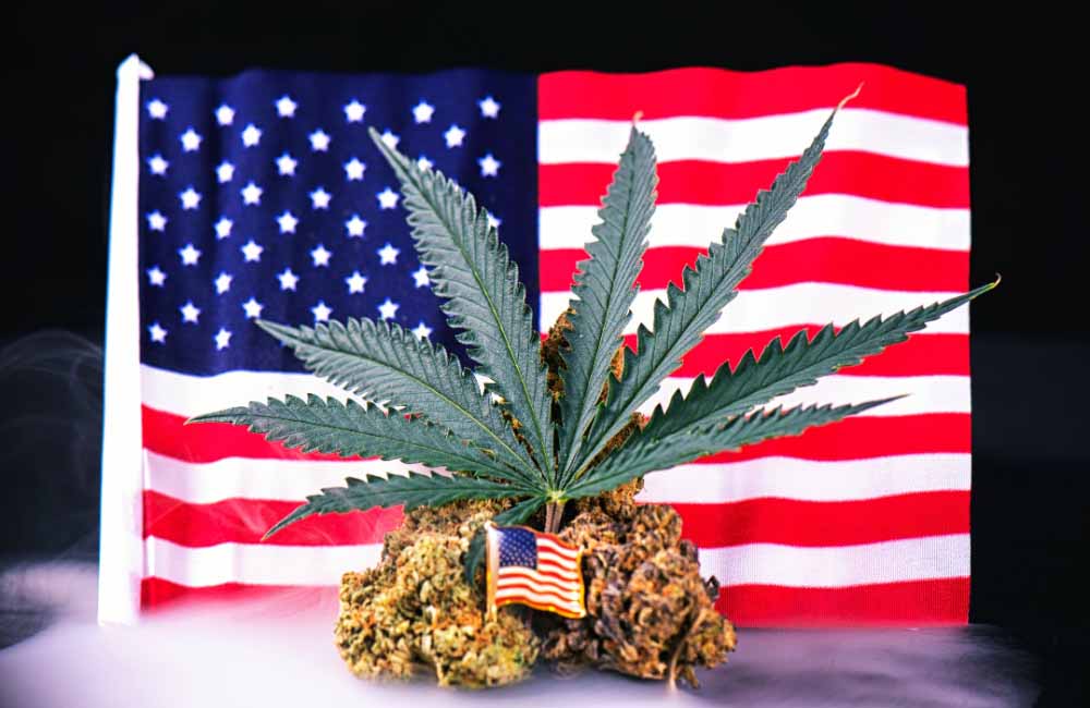 veterans cannabis