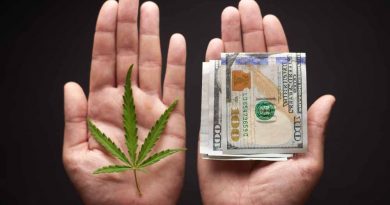 cannabis businesses