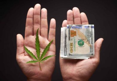 Top Types of Cannabis Businesses in the Legal Marijuana Industry