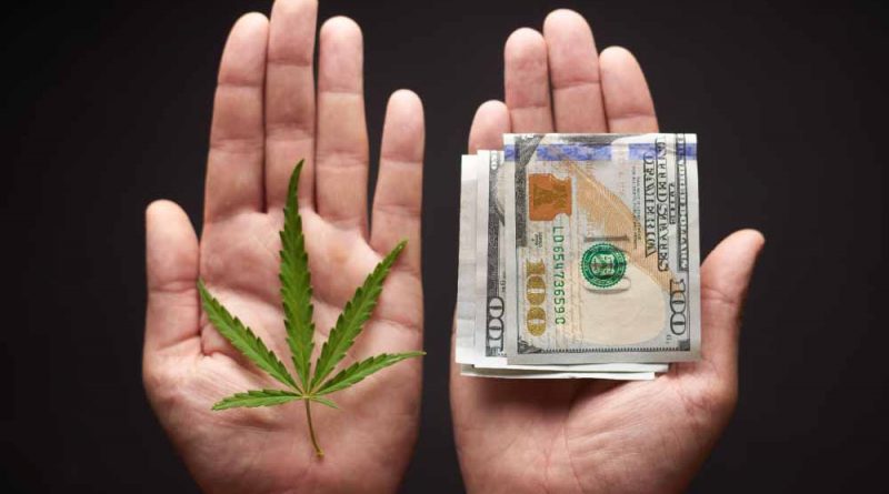 cannabis businesses