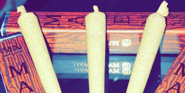 highlander fields blunt