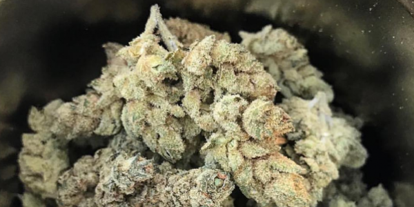 highlander fields nug