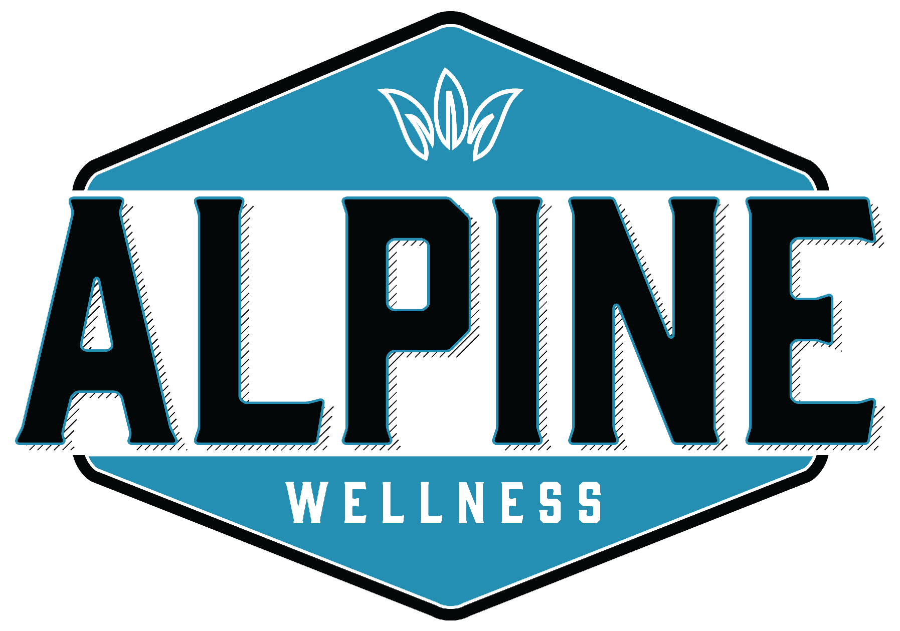 Menu for Alpine Wellness, Telluride, Colorado