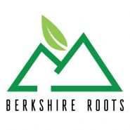 Berkshire Roots - Boston