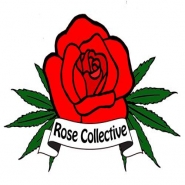 Rose Collective - Venice