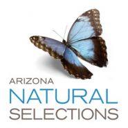 Arizona Natural Selections of Mesa