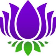 Purple Lotus