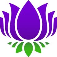 Purple Lotus