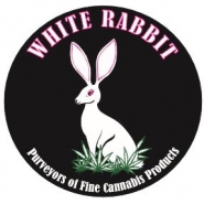 White Rabbit