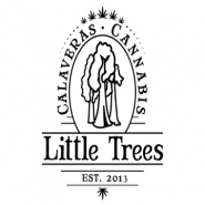 Calaveras Little Trees