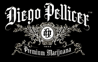 Diego Pellicer - Seattle