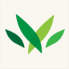 Mountainside Cooperative