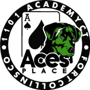 Ace's Place