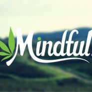 MiNDFUL - Addison