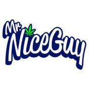 Mr. Nice Guy - Salem (Commercial)