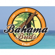 Bahama Buds