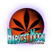 Harvest Moon Cannabis