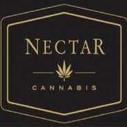 Nectar - Springfield