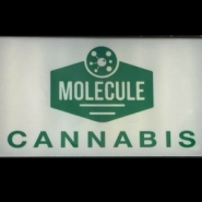 Molecule Cannabis