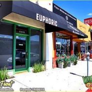 Euphoric Caregivers Recreational Dispensary in West Los Angeles