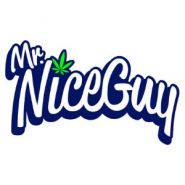 Mr. Nice Guy - Depoe Bay