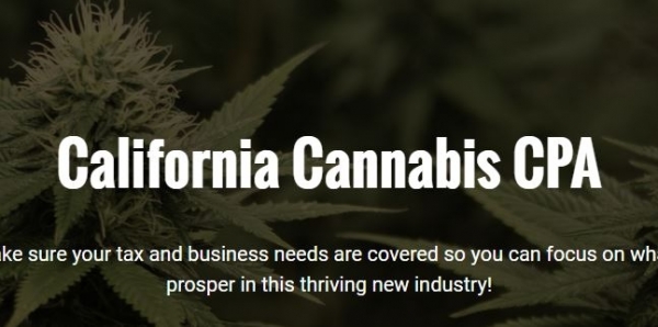california cannabis cpa mission