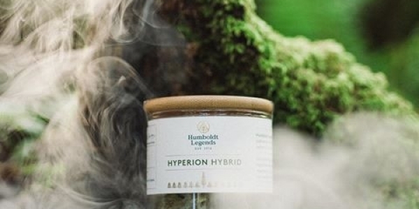 humboldt legends hyperion hyrbid jar in forest