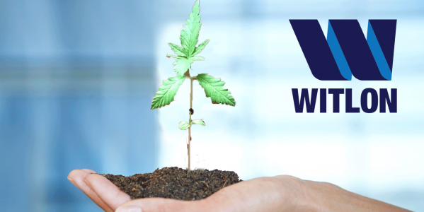 witlon payroll services management company cannabis industry 1