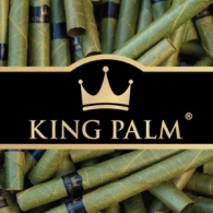 King Palm